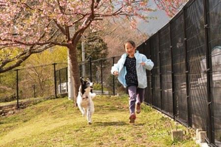 【寄七つ星ドッグラン＆カフェ】入園券２枚セット