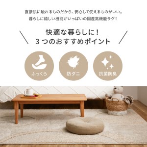 日本製 ふっくら厚手の防ダニ・抗菌防臭加工 カーペット 1枚 約130×185cm グレー 350118316 [3463]