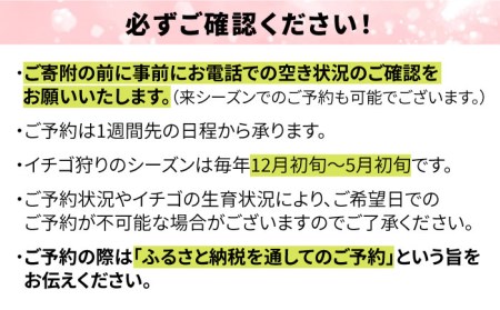 【志摩イチゴハウス】いちご狩り チケット （ 幼児 1名様 分 ） 糸島市 / 株式会社 糸島農園 [APM003]
