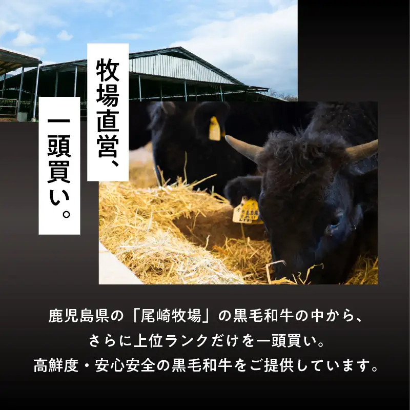 鹿児島黒毛和牛赤身焼肉用（モモまたは肩）400g入り K130-009 肉 牛肉 冷凍