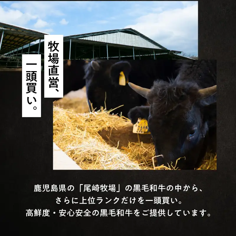 鹿児島黒毛和牛バラカルビ焼肉用 400g入り K130-010 肉 牛肉 冷凍