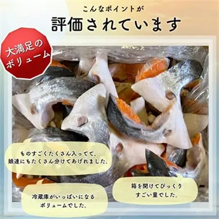 【訳あり】人気海鮮お礼品 銀鮭カマ 約3kg_鮭 サケ さけ 訳あり おすすめ_【配送不可地域：離島】【1389618】
