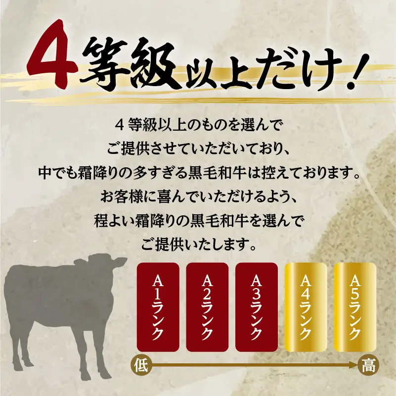 【5営業日以内に発送】鹿児島黒毛和牛の極上サーロインステーキセット 500g K134-003 肉 牛肉 冷凍 スピード配送 最短 すぐ届く お急ぎ