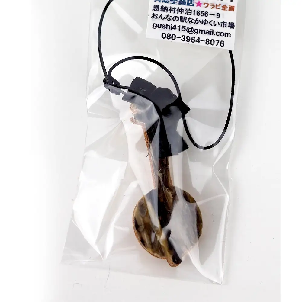 「なるほど三線」教本＋ファイル（ひと目で分かる三線の特徴）＋三線ストラップ（ヘビ革）結び昆布付き
