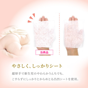 【２回定期便】おしりふき 20パック（60枚入り）厚手の凸凹シート使用！[056T04-T]