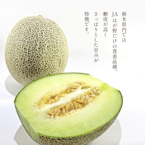【2027年先行予約】タカミ メロン ３L 2玉 化粧箱入り