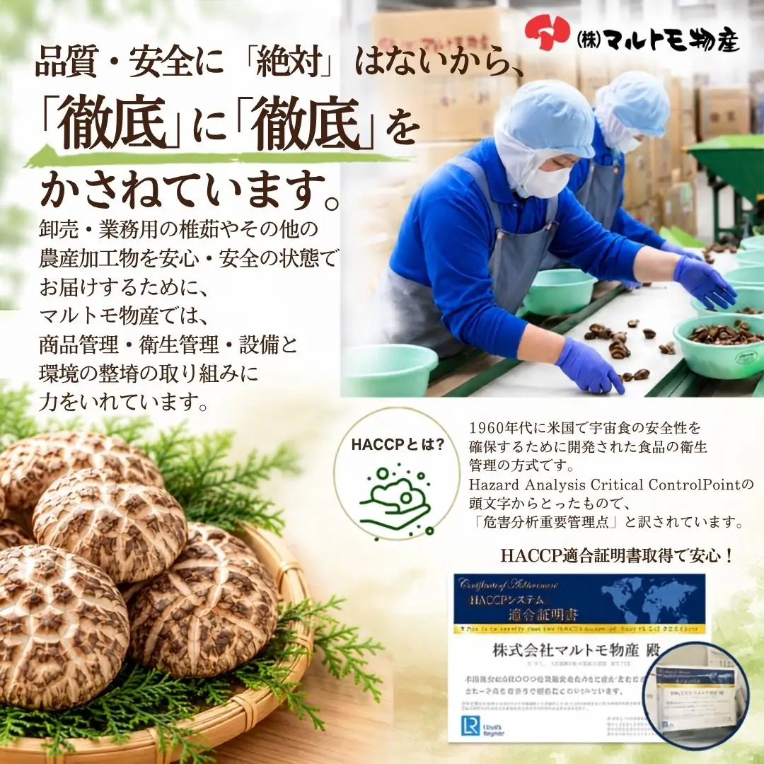 最高級椎茸 大分県産花どんこ 椎茸 380g