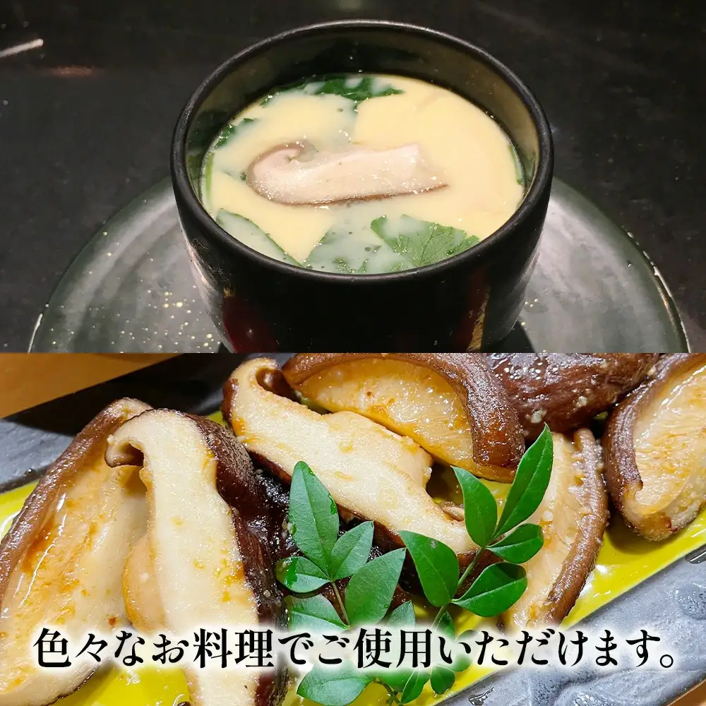 乾燥椎茸 訳あり 小粒どんこ 椎茸 50g×10パック | 津久見市