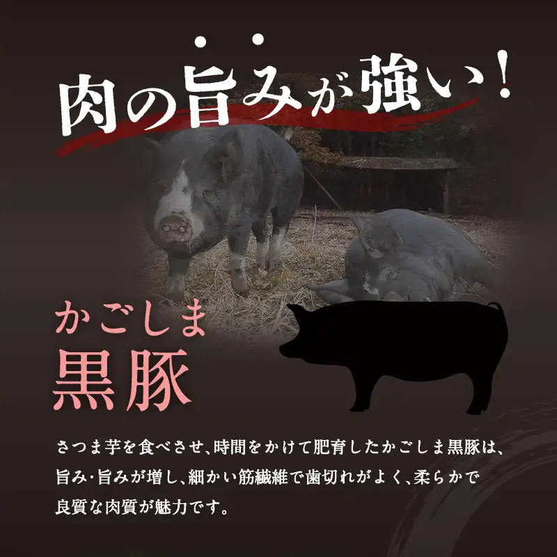 【全4回】黒毛和牛と黒豚を堪能するセット K098-T05 肉 豚肉 牛肉 冷凍