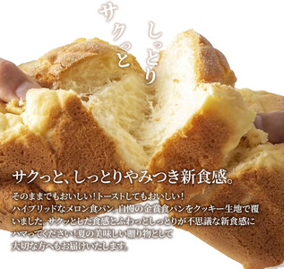 【国産小麦使用】高級金賞食パン メロン 2本セット