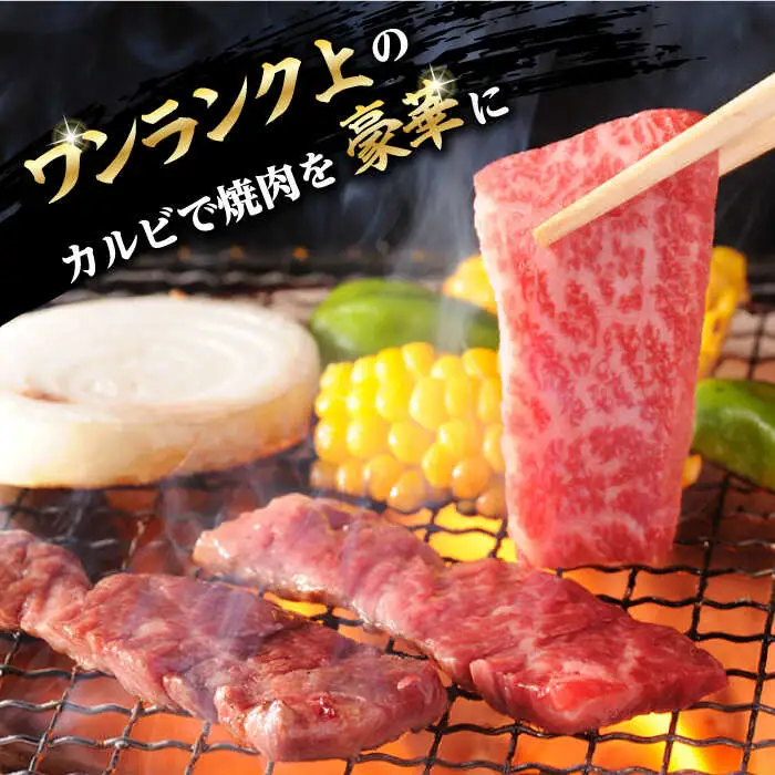 【全3回定期便】焼肉 上 カルビ 500g 長崎和牛 A4?A5ランク 【野中精肉店】 [VF34] 肉 牛肉 カルビ 焼き肉 キャンプ BBQ バーベキュー 定期便