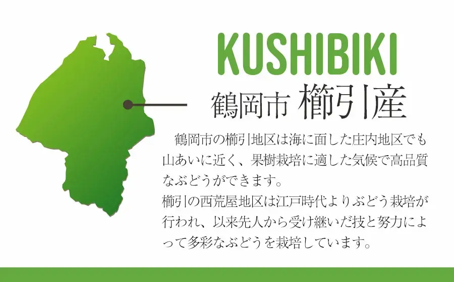 【令和8年産先行予約】シャインマスカット 1kg（2房）山形県鶴岡市産　さわかわ農園