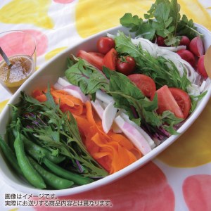 野菜たまごBOX『L』すべて北杜市産 [h208]