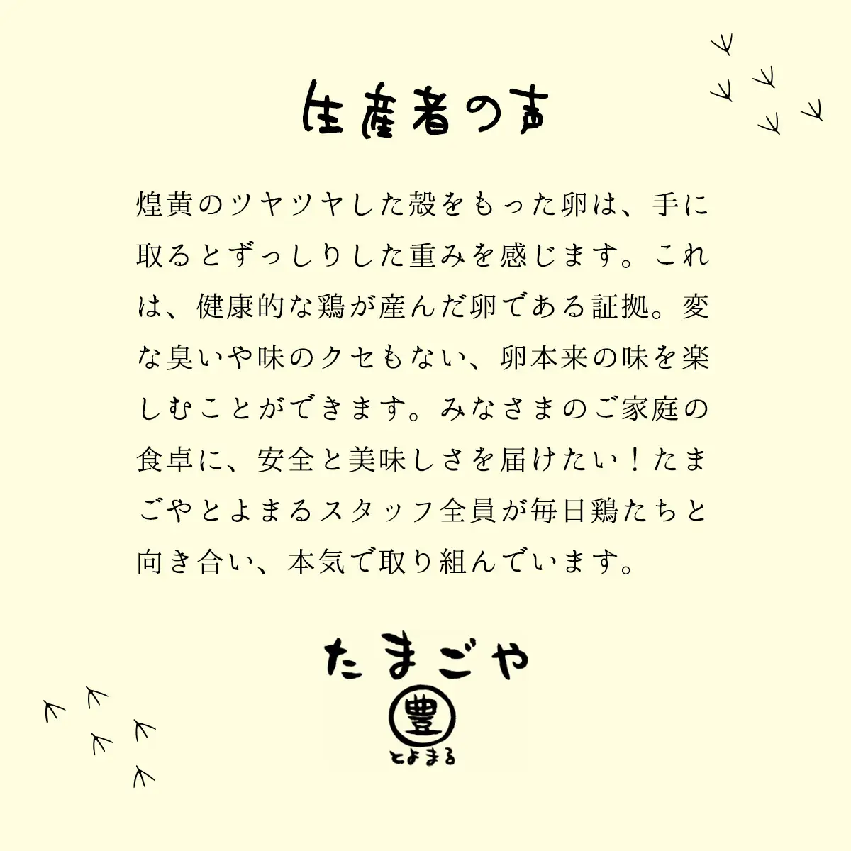 たまごやとよまる 煌黄50個入 SMAS001 千葉県 山武市 卵 たまご タマゴ