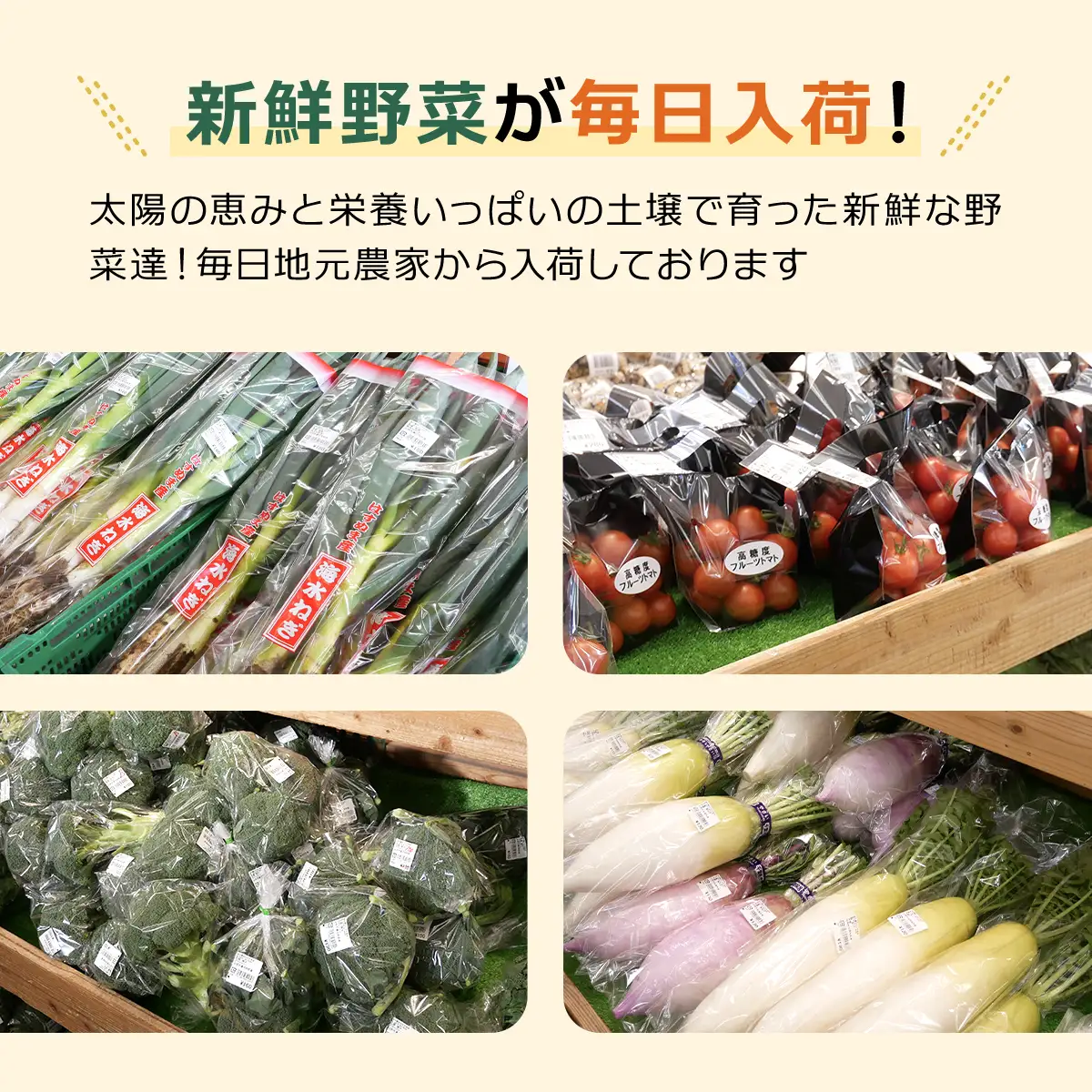 大地のたからばこセット（2箱） SMA001