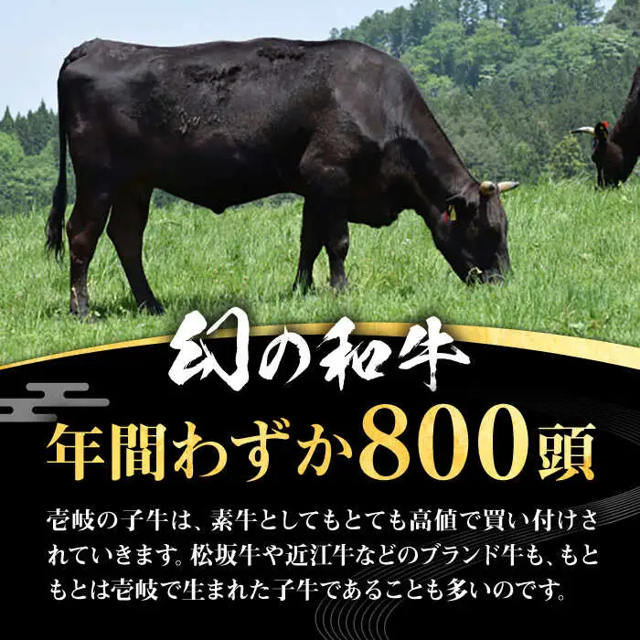 壱岐牛 ローススライス（すき焼き・しゃぶしゃぶ・焼肉） 1kg（500g×2パック）《壱岐市》【株式会社イチヤマ】 肉 牛肉 ロース スライス [JFE006] のし ギフト