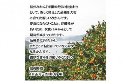 【2027年1月上旬頃から順次発送】希望の島 温州みかん 新品種『ゆたか』 3kg 愛媛県産 みかん 柑橘【FT028_x】