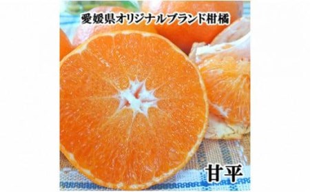【甘平】【2027年2月中旬頃から順次発送】希望の島 ジャンボ甘平 特大（6L以上）約1kg（2玉）愛媛県松山市【FT0291】