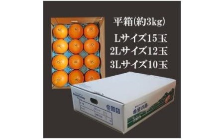 【せとか】【2027年3月上旬頃から順次発送】 ＜L～3L＞ せとか 約3kg 10～15玉 愛媛県松山市 【FT034_x】