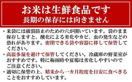 【新米先行予約】令和8年産米 新之助 無洗米 6kg（2kg×3袋）田村農産 しんのすけ[Y0097]