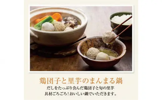 おいしい鶏だし 360ml 9本セット ｜鶏 だし 調味料 阿久比町