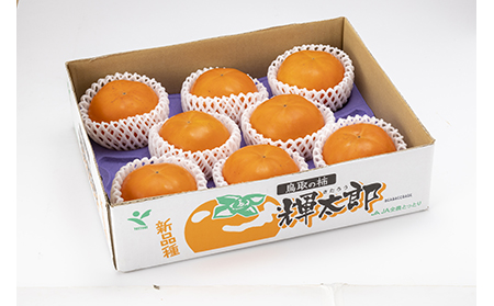 鳥取県産輝太郎（きたろう）柿　3kg【期間･数量限定】_T2600613