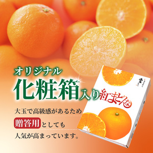 紅まどんな 約2.7kg 青秀 3L ~ L サイズ（ 10 ～15玉 ）【2026年12月中旬頃から順次発送】【IYT0492】