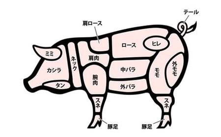 山形豚 ロース しゃぶしゃぶ用 600g 山形県産 銘柄豚 認定 ブランド豚 豚肉 山形県 南陽市 [1830]