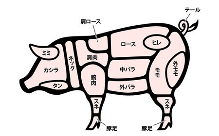 山形豚 ロース とんかつ用 750g (150g×5枚) 山形県産 銘柄豚 認定 ブランド豚 豚肉 山形県 南陽市 [1833]