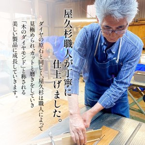 屋久杉 定規 A ゴシック体 K042-012_1