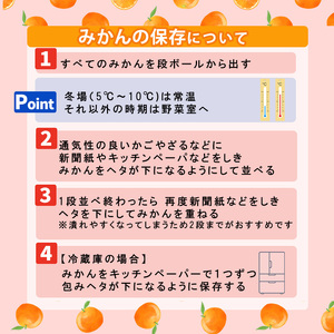 全3回 かんきつ定期便 家庭用 優品 せとか きよみ カラマンダリン 愛媛県 松山市 【KK1092】