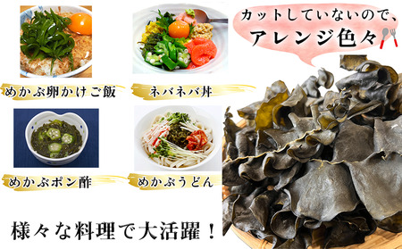 岬だより コリコリ食感・粘り抜群の乾燥めかぶ　120g×3袋