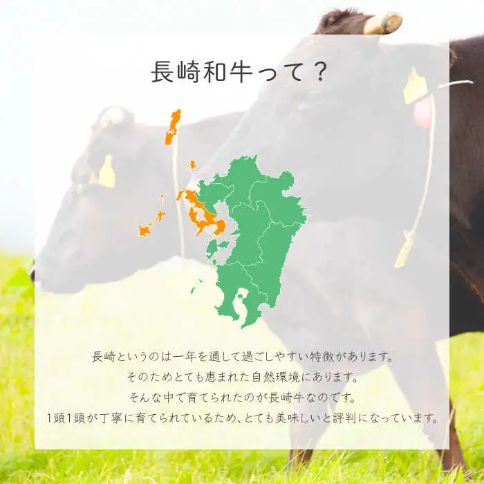 牛肉スライス リブロース 約500g [OAA004] 牛肉スライス