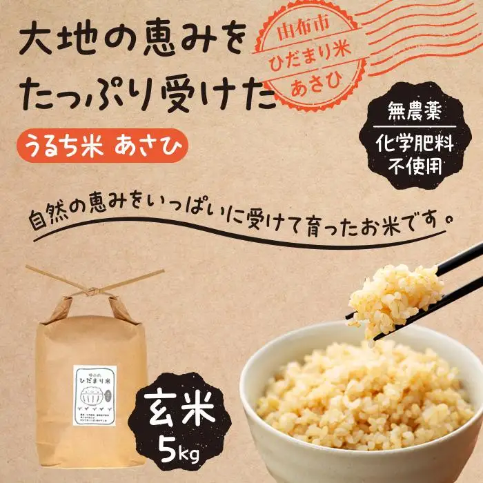 【無農薬・化学肥料不使用】大地の恵みをたっぷり受けた うるち米　あさひ（玄米）5kg