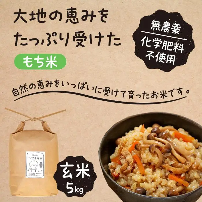 【無農薬・化学肥料不使用】大地の恵みをたっぷり受けた もち米（玄米）5kg