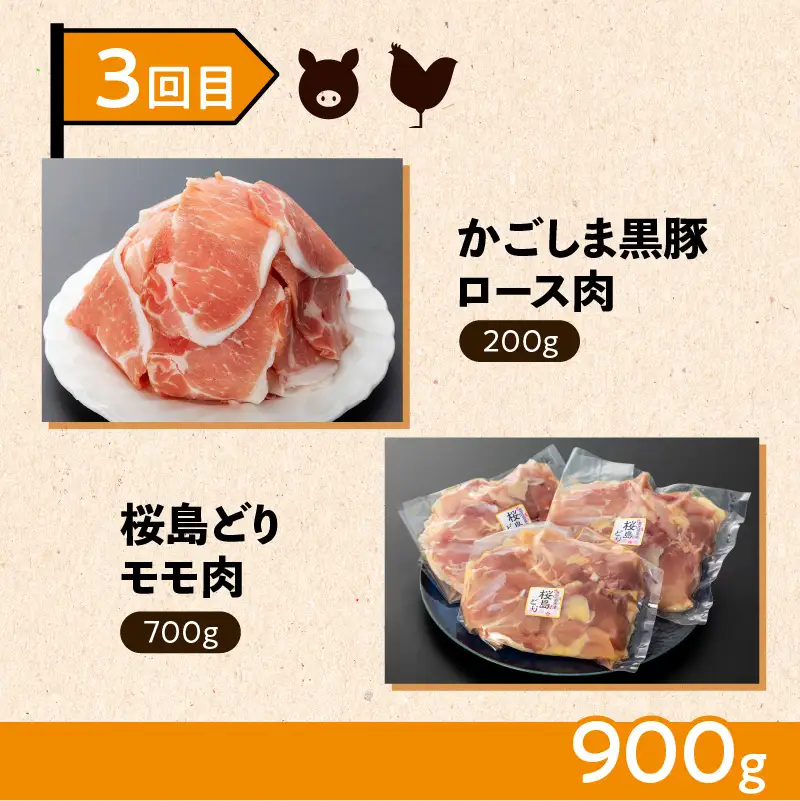 【 岩元精肉店 】 鹿児島県産 精肉 厳選 4か月 お届け コース K045-T04 肉 豚肉 牛肉 鶏肉 冷凍