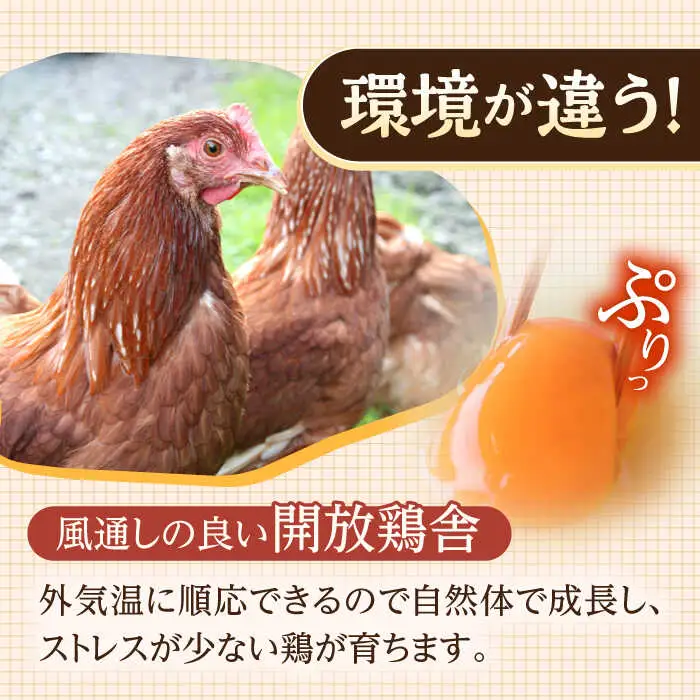 産みたて新鮮たまご 野中のたまご 40個[OAC001] 