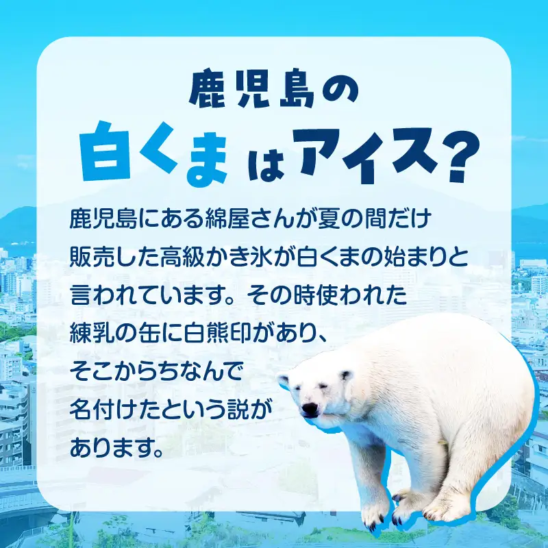 アイス 白くま 12個 セット 【 セイカ食品 南国 白くま 】 K051-003 冷凍