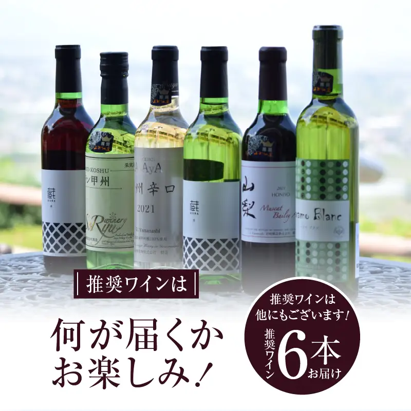 ワイン 勝沼ぶどうの丘推奨ワイン360ｍｌ６本セット（KBO）C-651