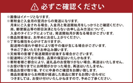 【3か月連続定期便】熊本便り！旬のフルーツ単品定期便 ｜ フルーツ くだもの 果物 旬 いちご みかん 柑橘 デコポン メロン スイカ 桃 シャインマスカット 梨 柿