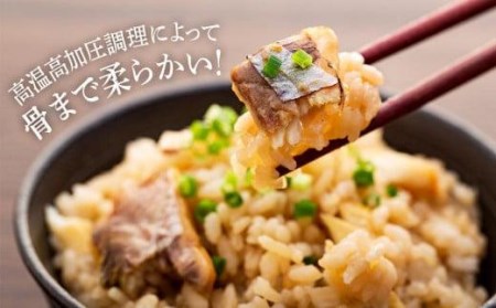 松山鯛めし　（２合タイプ×２回） ごはんのお供【TS044_x】