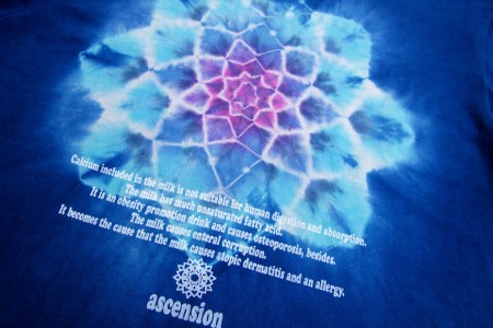 Tシャツ 藍染めタイダイD ASCENSION Tシャツ【1枚】 S