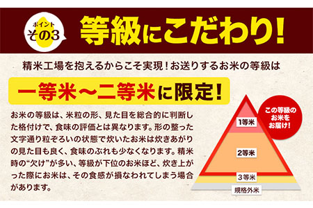 無洗米 令和7年産 ひのひかり 10kg 無洗