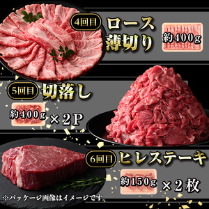 【D01011】＜定期便・全6回(連続)＞鹿児島黒牛定期便・堪能セット(全6種・合計2.8kg) 黒毛和牛 鹿児島黒牛 モモ ロース 赤身 薄切り ヒレステーキ 切り落とし 焼肉 食べ比べ 日本一 鹿児島 国産 九州産 牛肉 ビーフ 定期便【新村畜産】