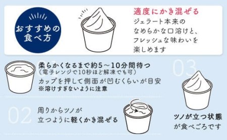 島旅 ジェラート 80ml×6種8個 セット アイス　AS-590