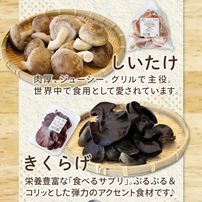 オーガニックきのこバラエティ小セット約800g（5種9パック入）