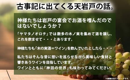 天孫降臨神話・海の神 ワイン2本セット ≪みやこんじょ特急便≫〔14E-20-015-Q〕_(都城市) 都城産ワイン ワイナリー 赤 辛口 やや甘口 11度 12度 13度 14度 720ml KUMASOTAKERU