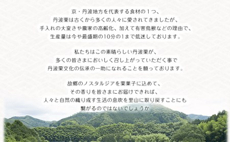 ＜先行予約！2026年11月中旬より順次発送！＞丹波栗とエダムのタルト 栗 ケーキ スイーツ