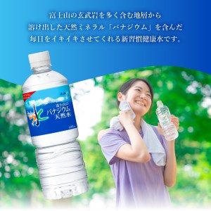 定期便 【3か月お届け】「アサヒおいしい水」富士山のバナジウム天然水 1箱(24本入）PET600ml 3回 ミネラルウォーター 毎月 飲料 保存 防災 備蓄 防災グッズ ストック