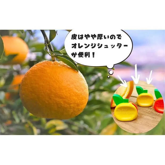 訳あり それでも 甘夏 箱込 5kg (内容量約4.4kg)  サイズミックス 産地直送 家庭用［みかんの会］